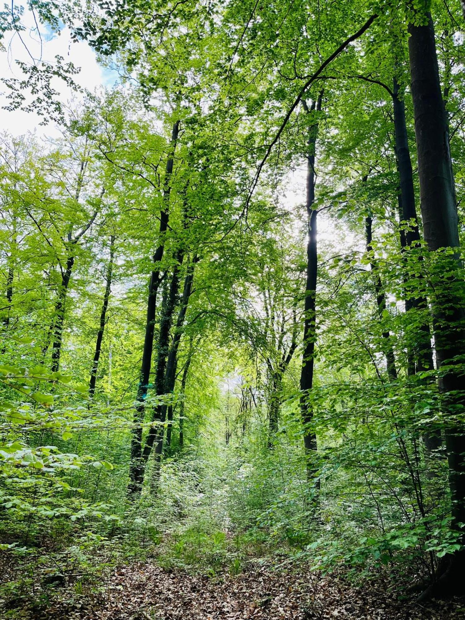 Kornspeicher Himmelpfort Exteriér fotografie